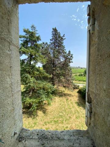 Opportunité confidentielle et rarissime : un château viticole d'exception au coeur de Saint-Georges-Saint-Émilion