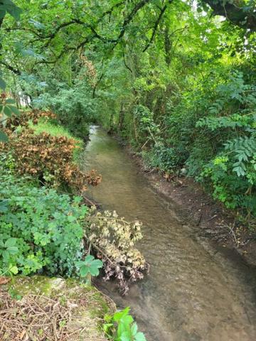 Maison ancienne Néré campagne 202 m²