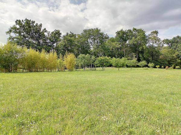 grand Terrain constructible viabilisé