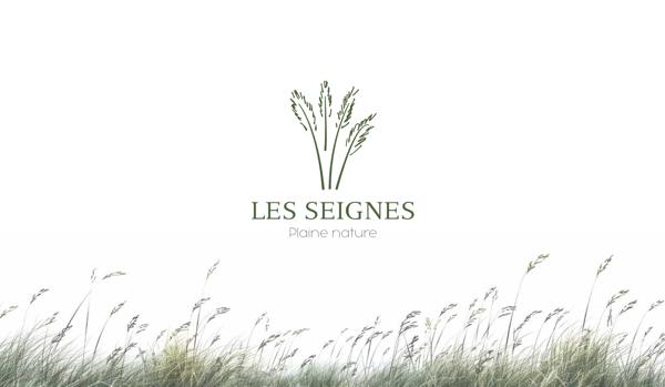 Terrain 230 m2