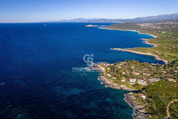 Villa 6 pièces à vendre Corbara - 20220 / Réf: 87000395