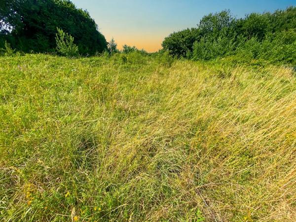 NOUVEAUTÉ ? À SAISIR - Terrain constructible 1 200 m² ? Emplacement à forte visibilité