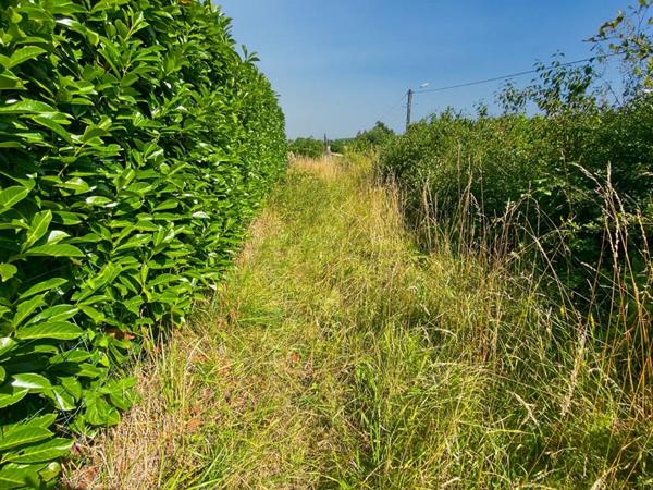 NOUVEAUTÉ ? À SAISIR - Terrain constructible 1 200 m² ? Emplacement à forte visibilité