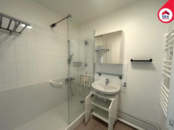 Appartement T3 à vendre à Rennes - Quartier Cleunay, vue jardin japonais