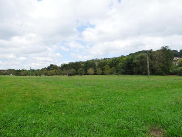 Grand terrain avec vue