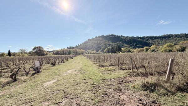 À vendre – Domaine de caractère à Vidauban (Var)