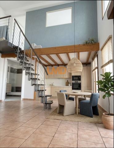 Appartement F3/4 Duplex Terrasse Grand Paris résidence récente