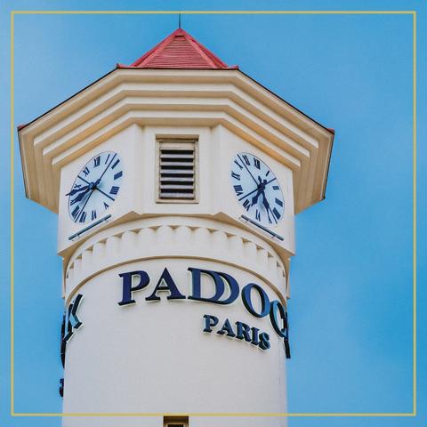 LOCAUX COMMERCIAUX AU COEUR DU CENTRE COMMERCIAL "PADDOCK" (ROMAINVILLE)