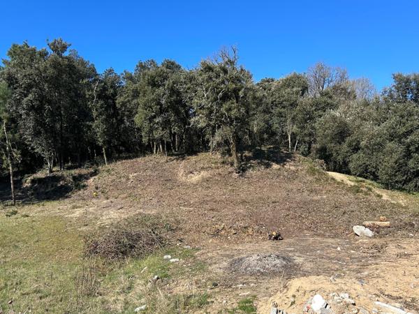 Terrain de 1253 m2 aux Conches