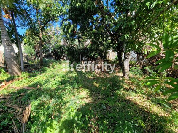 Maison 5 pièces - 150 m²