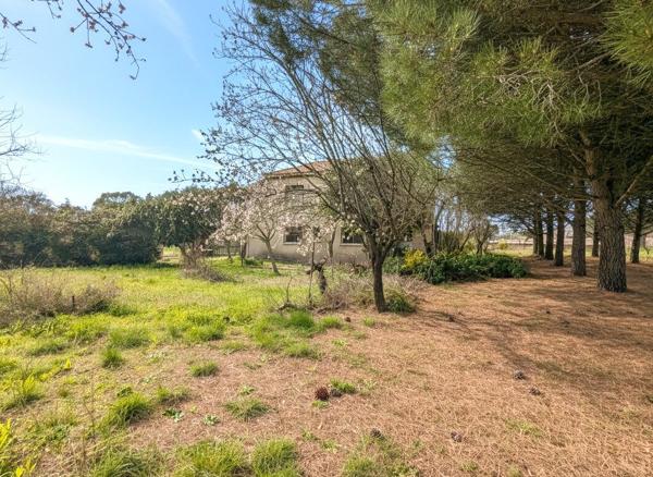 Maison dans Pézenas