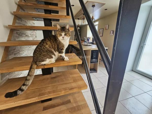 Vente                                                      Maison
                        
                     5 pièces                      129 m2                     à Plésidy