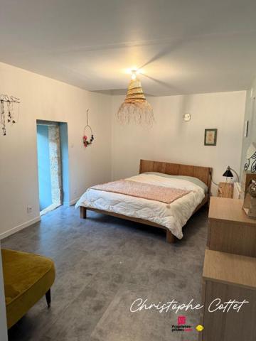 Chauvigny - Maison de caractère au pied de la cité médiévale - Charme & authenticité