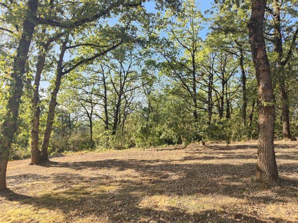 Terrain à GRISOLLES, 82170 - 2000m²