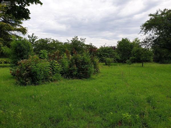Maison à vendre à Neuvy-Saint-Sépulchre dans l'Indre (36230), ref : CG/204   
Route de chateauroux