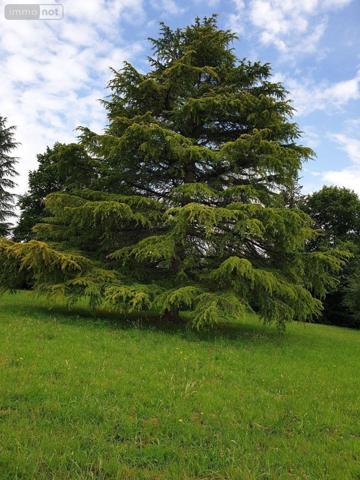 Maison à vendre à Neuvy-Saint-Sépulchre dans l'Indre (36230), ref : CG/204   
Route de chateauroux
