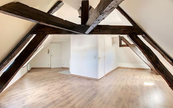 Appartement à louer    1 pièce •  Sandillon