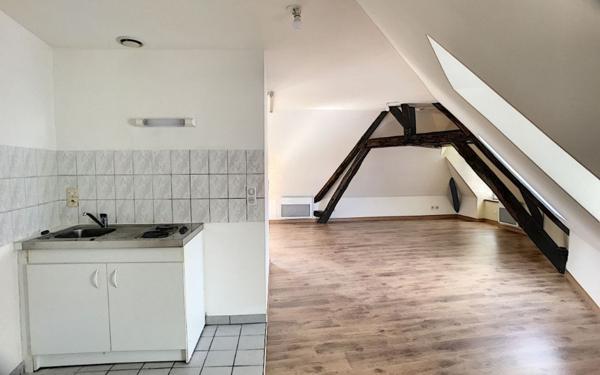 Appartement à louer    1 pièce •  Sandillon