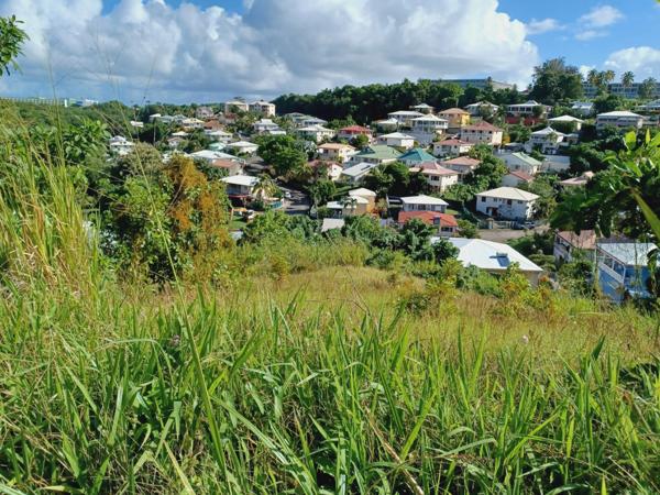 Terrain à bâtir - La Trinité 97220 - 4492 m² - 270 000 €