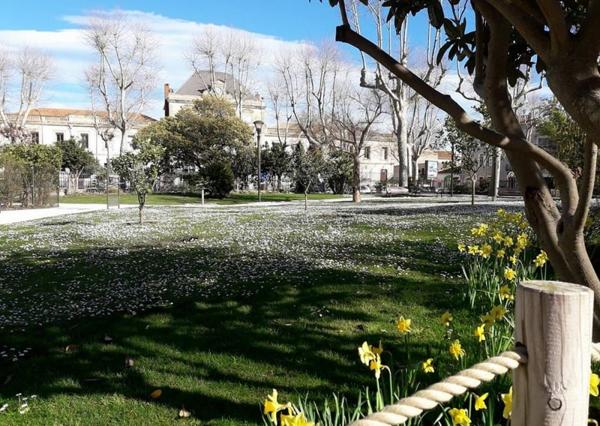 Terrain constructible à vendre Narbonne - 11100 / Réf: 01-4178