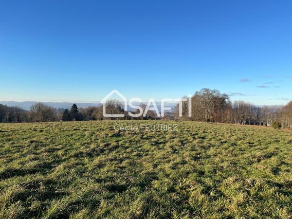 Magnifique terrain constructible à Sainte-Fortunade