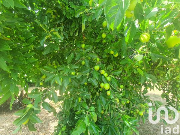 Maison à vendre 4 pièces 95 m² Le Champ-Saint-Père