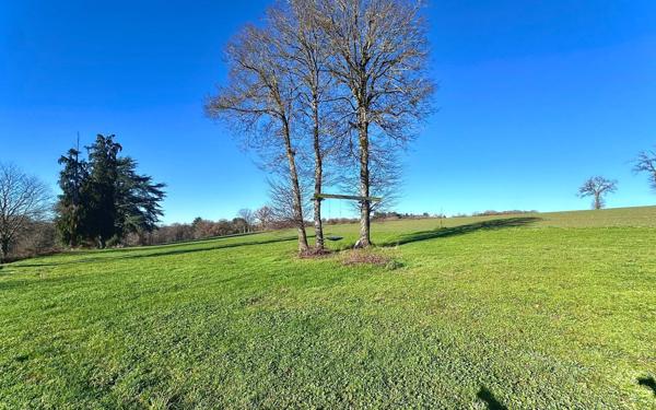 Maison à vendre    8 pièces •  Manhac