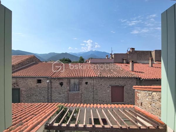 Au cœur d’un quartier calme et à proximité de toutes les commodités, découvrez cette maison de village de caractère en R+3, proposant une distribution agréable sur plusieurs niveaux, un patio-terrasse, un garage et une vue dégagée sur le Canigou.

Au rez-de-chaussée, un hall d’entrée dessert une première chambre, une salle d’eau avec WC ainsi qu’une cave à vin. Un garage complète ce niveau et apporte un véritable confort au quotidien.

Au premier étage, vous découvrirez une agréable pièce de vie réunissant salon, salle à manger et cuisine. Le poêle à bois apporte une atmosphère chaleureuse à cet espace, qui se prolonge sur un patio-terrasse, idéal pour profiter de moments de détente à l’extérieur.

Le deuxième étage se compose de deux chambres, ainsi que d’une salle d’eau avec WC.

Enfin, le troisième et dernier étage est dédié à une suite parentale avec salle d’eau et WC, offrant un espace plus intime et indépendant, agrémenté d’une vue dégagée sur le Canigou. Un grenier complète ce niveau et apporte un espace de rangement supplémentaire.

La maison bénéficie d’un environnement paisible tout en restant proche des commerces, services et commodités. Son patio, son garage et sa vue sur le Canigou viennent compléter les nombreux atouts de ce bien.

 Les plus :

- 4 chambres, dont une suite parentale
- 3 salles d’eau
- Garage
- Patio-terrasse
- Poêle à bois
- Cave à vin
- Grenier
- Vue dégagée sur le Canigou
- Quartier calme
- Proximité de toutes les commodités

Une maison de village pleine de caractère, à la distribution fonctionnelle, offrant des espaces bien répartis et des prestations recherchées en cœur de village.

Je serai ravi de vous la faire découvrir lors d’une visite afin que vous puissiez apprécier son charme et son environnement.
