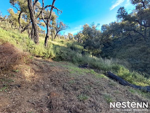 Terrain de 1800 m² en forêt