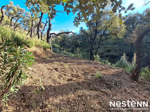 Terrain de 1800 m² en forêt