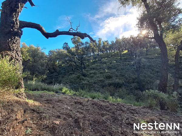 Terrain de 1800 m² en forêt