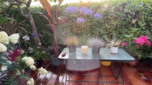 Appartement 3 pièces - 65 m² Exclusivité efficity