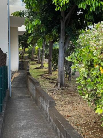 Investissement locatif – Studio vendu loué résidence les Terrasses de Moulin Joli la Possession