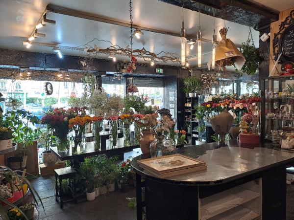 Local Commercial - 71 m² Exclusivité