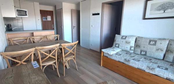 Appartement 35m2 PEYRAGUDES