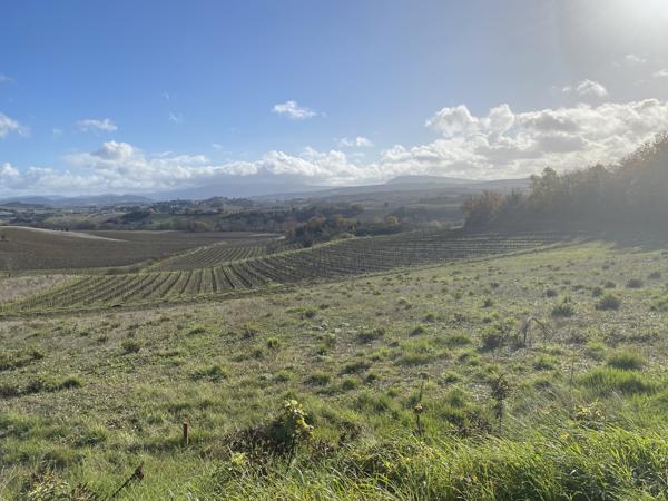 Terrain à bâtir à 5km de Limoux de 1051m², vue sur les Pyrénées, environnement nature