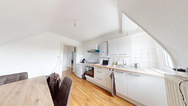 Maison 3 appartements 3 garages Colmar