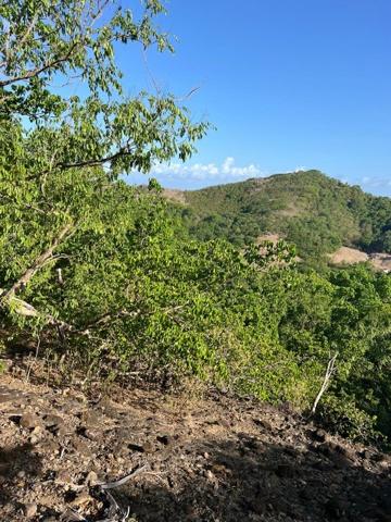 A VENDRE 4 MAGNIFIQUES TERRAINS  VUE MER ET MONTAGNES A TERRE DE HAUT LES SAINTES