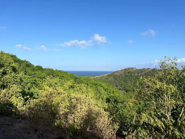A VENDRE 4 MAGNIFIQUES TERRAINS  VUE MER ET MONTAGNES A TERRE DE HAUT LES SAINTES
