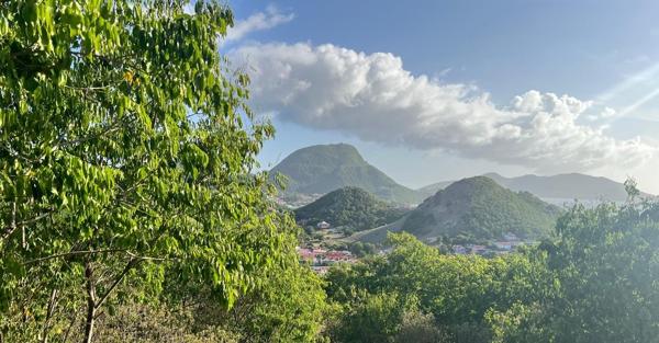 A VENDRE 4 MAGNIFIQUES TERRAINS  VUE MER ET MONTAGNES A TERRE DE HAUT LES SAINTES