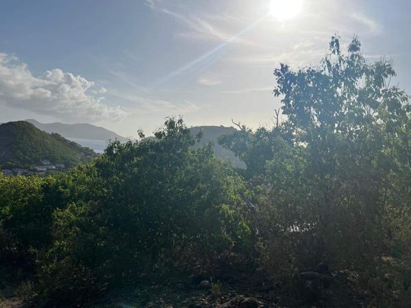 A VENDRE 4 MAGNIFIQUES TERRAINS  VUE MER ET MONTAGNES A TERRE DE HAUT LES SAINTES
