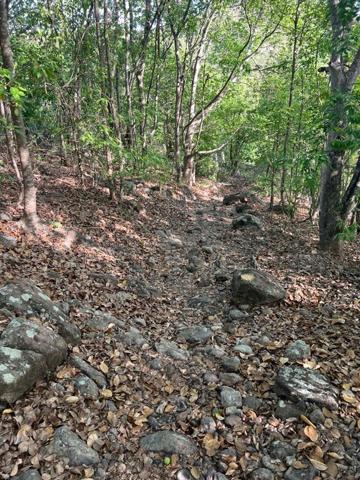 A VENDRE 4 MAGNIFIQUES TERRAINS  VUE MER ET MONTAGNES A TERRE DE HAUT LES SAINTES