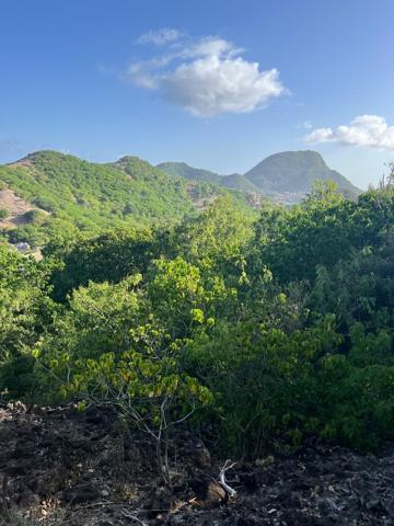A VENDRE 4 MAGNIFIQUES TERRAINS  VUE MER ET MONTAGNES A TERRE DE HAUT LES SAINTES