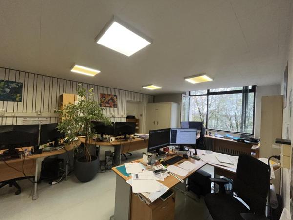 Locaux professionnels avec garage