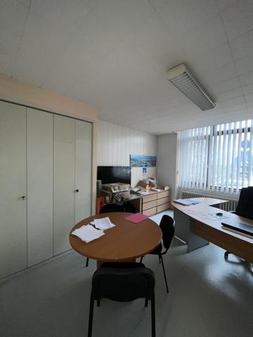 Locaux professionnels avec garage