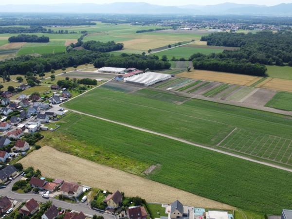 Vente / Terrain constructible