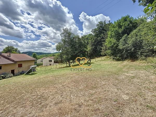 Sallèdes (63270) TERRAIN À SALLÈDES