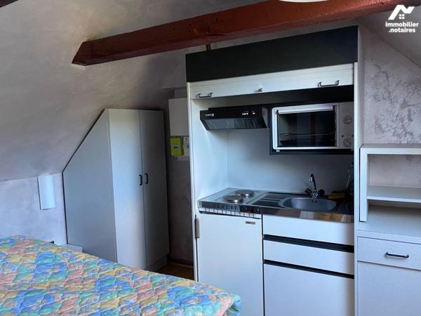 A vendre, au Falgoux (CANTAL) au coeur de la verdoyante vallée du Mars, à deux pas du Puy-Mary ...