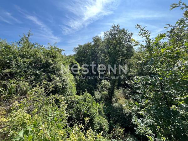 Terrain boisée - Vaudelnay - D6113