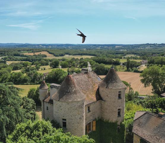 Château historique de 1501 avec vue panoramique et commodités à pied Parisot